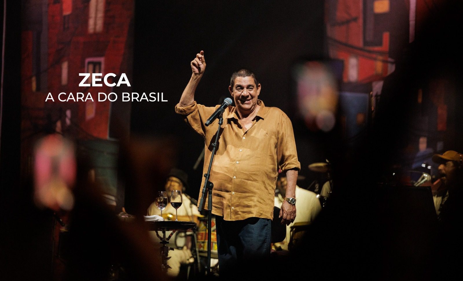 Zeca A cara do Brasil